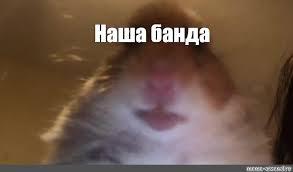 eddd