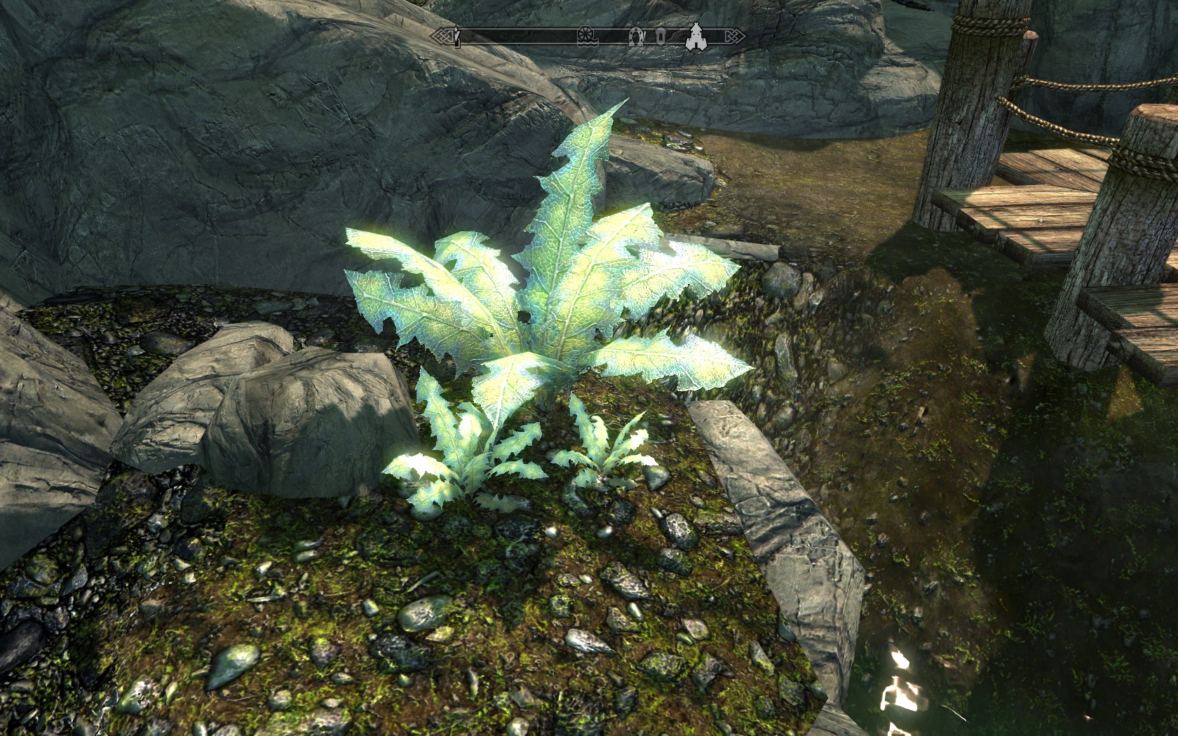 (((-NEW Nirnroot Music-)))