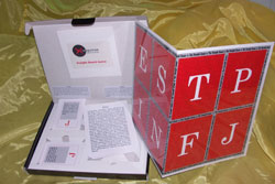 Insight (MBTI)