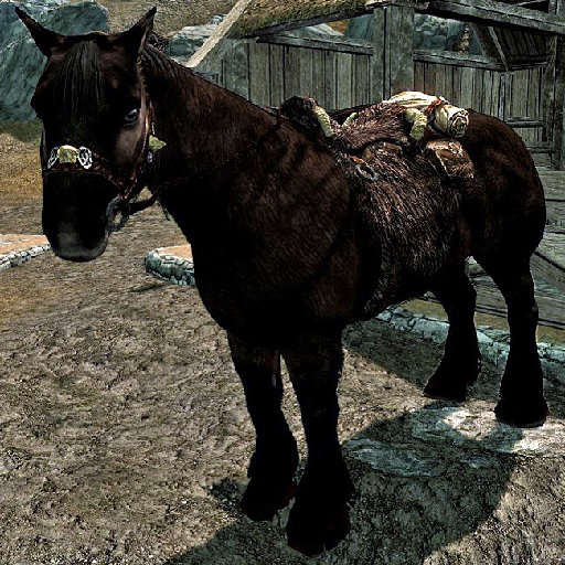 Some Really F*cking Weird Horses