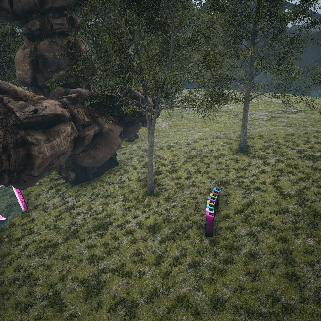random race