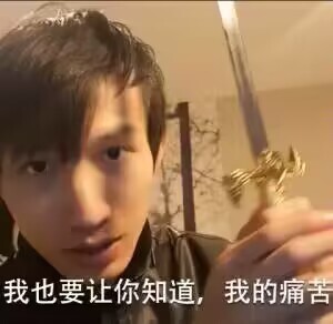 并非nep黑暗之魂龙血骑士美化整合