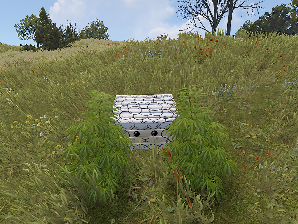 Lamb Box