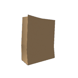 Paper Bag No Handle