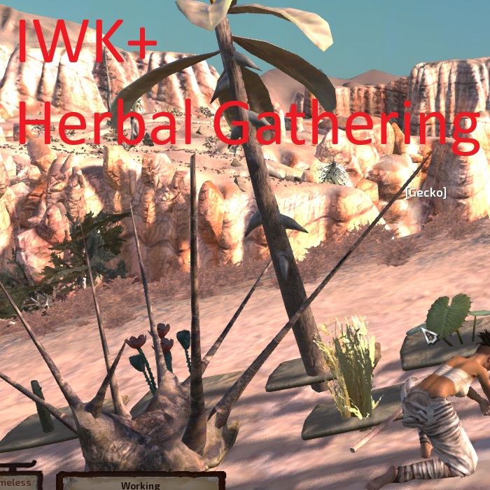 IWK+ Herbal Gathering