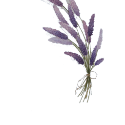 75cm Lavender Bunch Wall Decal