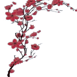 200cm Cherry Blossom Wall Decal