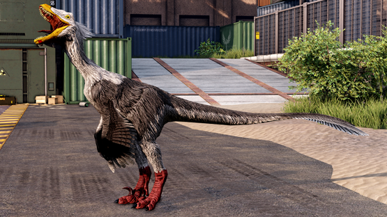 Western Gull Novaraptor