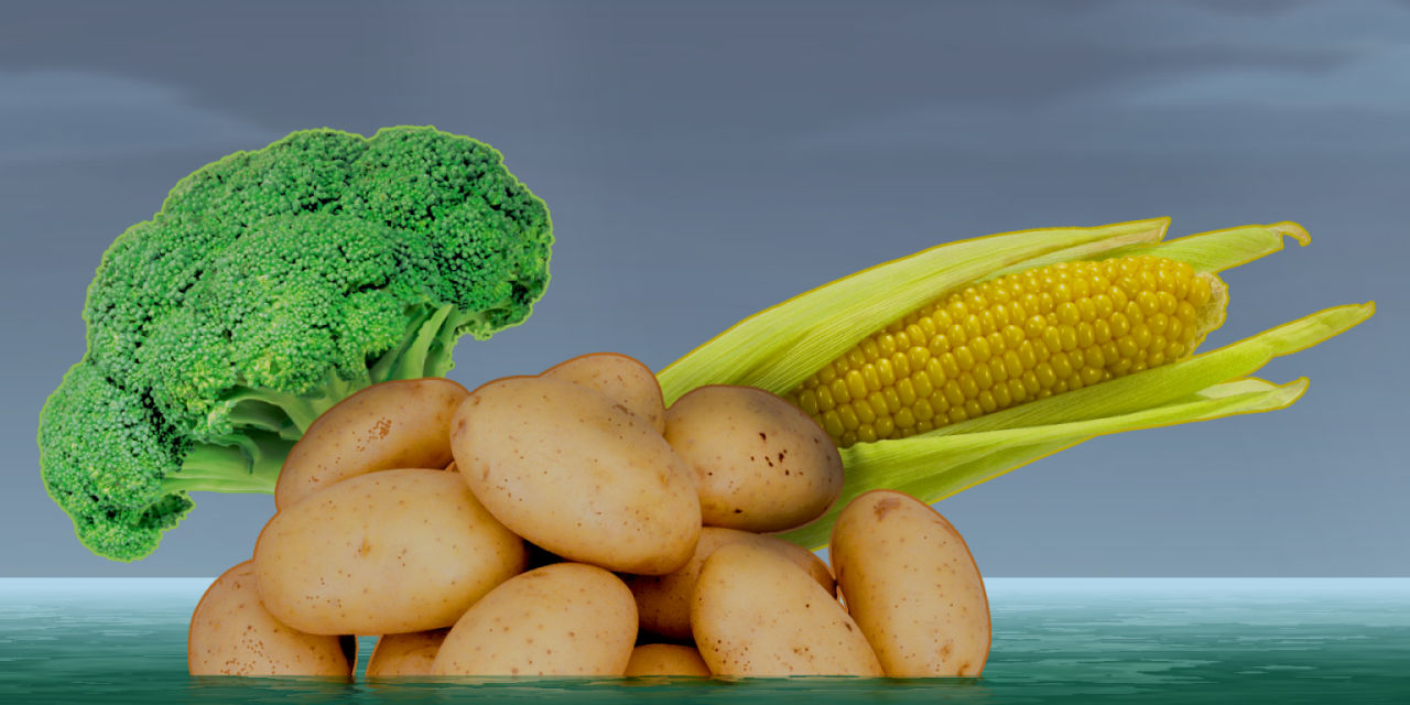 Veggie Island