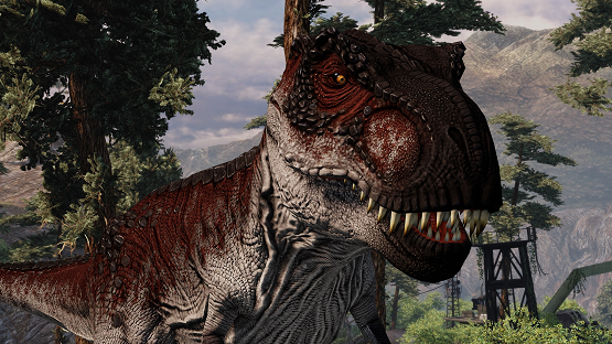 Northern Rex