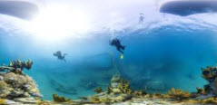 SeaShot