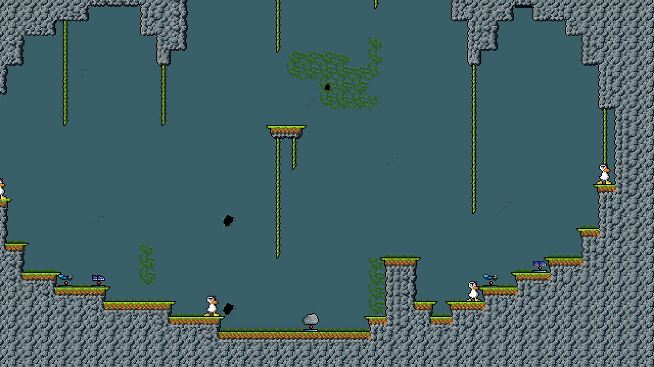 cave ducks