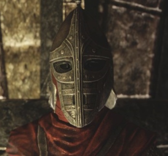 Solitude Guard Follower