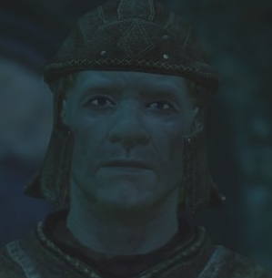 Imperial Guard Follower (light armor)