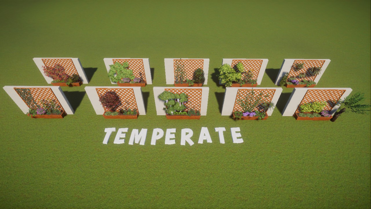 Plant holder pack - temperate