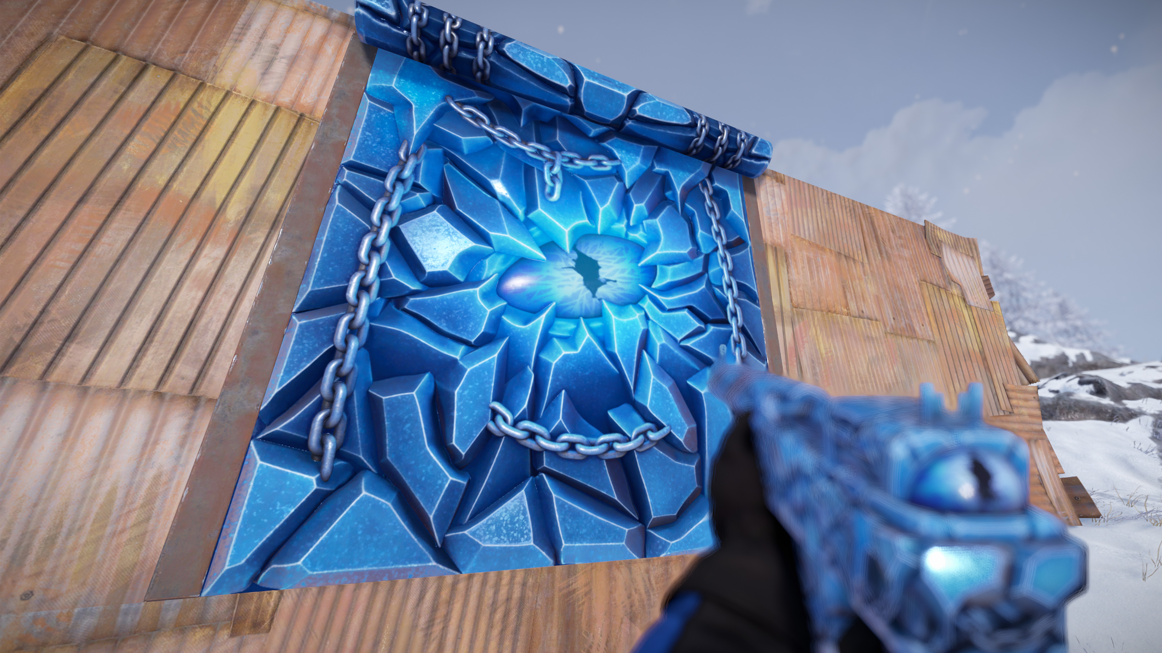 Ice Eye Garage Door
