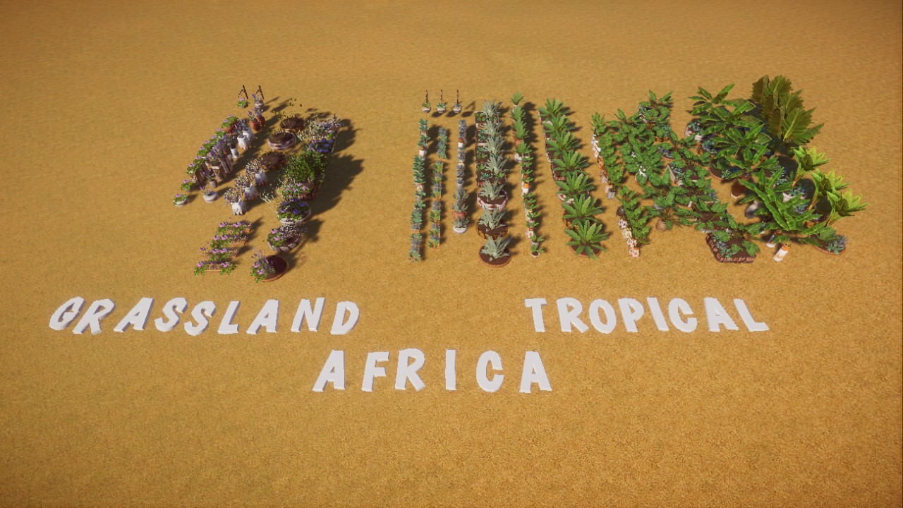 Potted plant pack - Africa