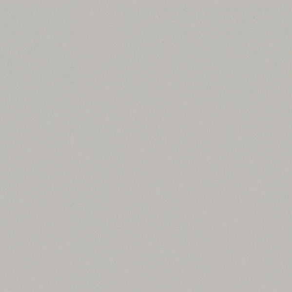 Sherwin Williams Wall Paint - Alabaster