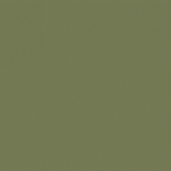 Sherwin Williams Wall Paint - Leapfrog