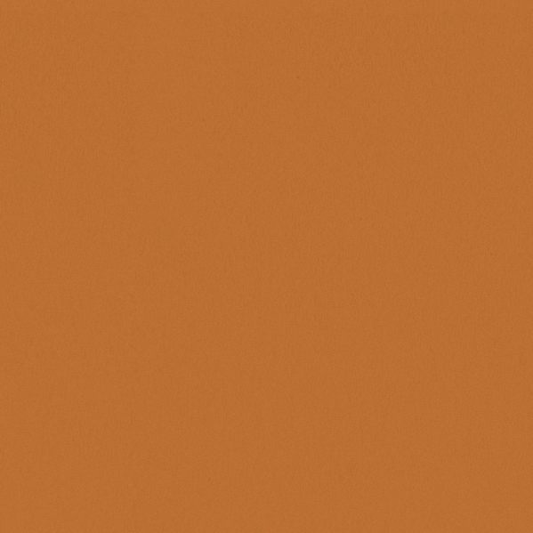 Sherwin Williams Wall Paint - Navel