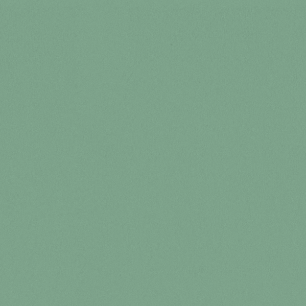 Sherwin Williams Wall Paint - Retro Mint