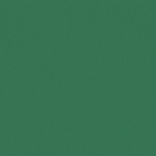 Sherwin Williams Wall Paint - Argyle