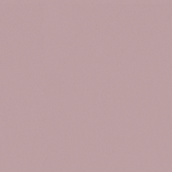 Sherwin Williams Wall Paint - Rose Pink