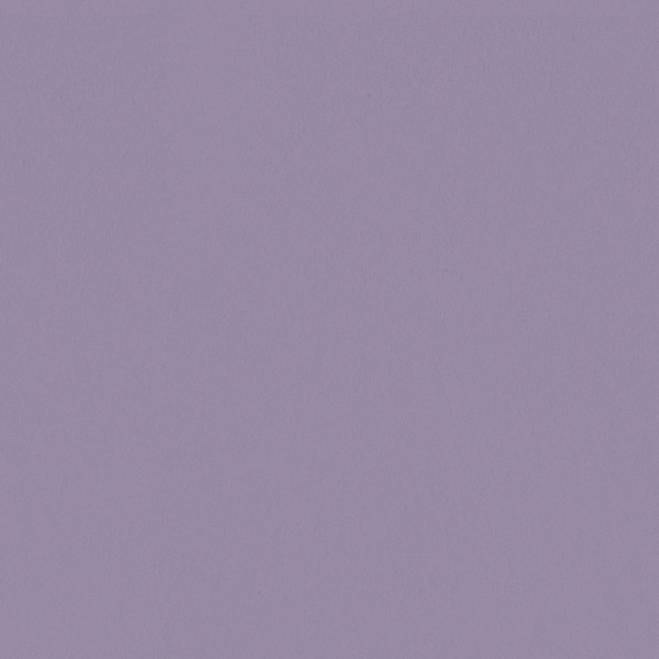 Sherwin Williams Wall Paint - Magical