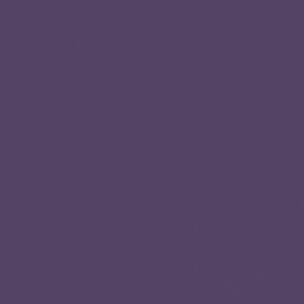 Sherwin Williams Wall Paint - Impulsive Purple
