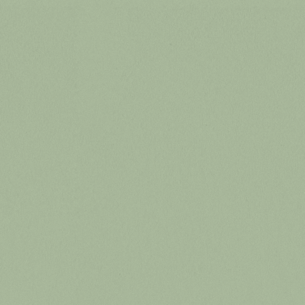 Sherwin Williams Wall Paint - Green Vibes
