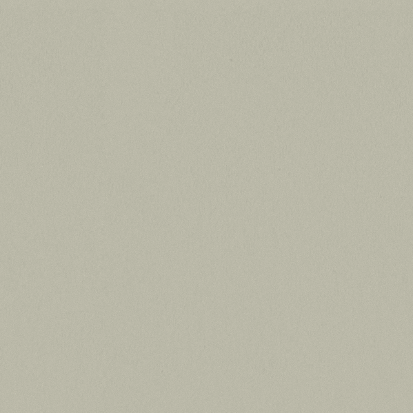 Sherwin Williams Wall Paint - Queen Anne's Lace