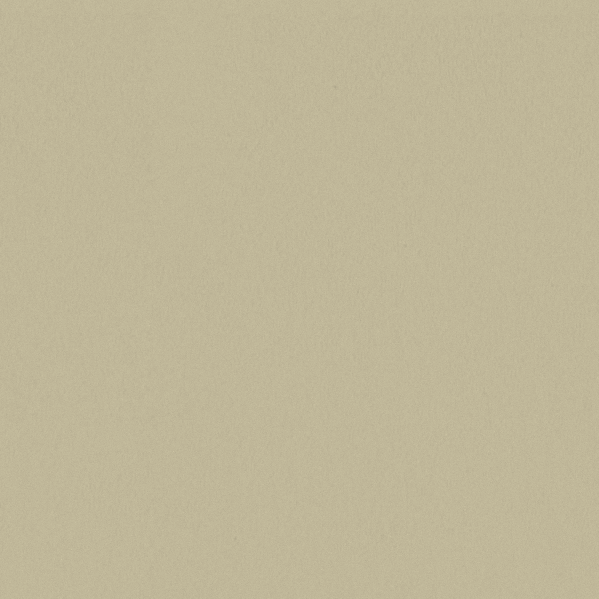 Sherwin Williams Wall Paint - Lily