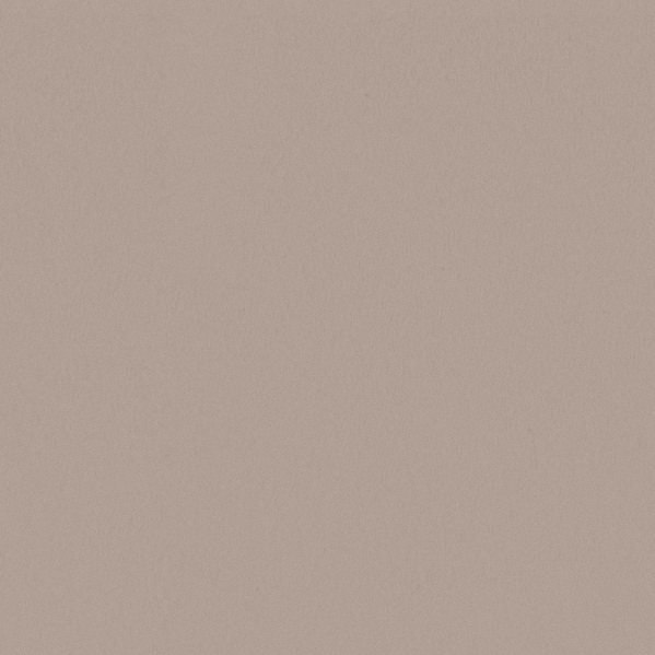 Sherwin Williams Wall Paint - Malted Milk