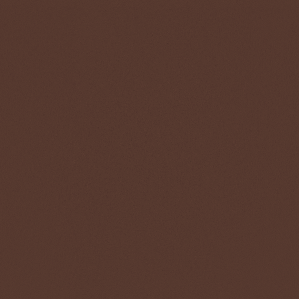 Sherwin Williams Wall Paint - Vintage Leather