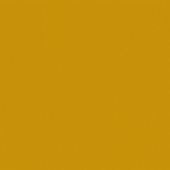 Sherwin Williams Wall Paint - Goldfinch