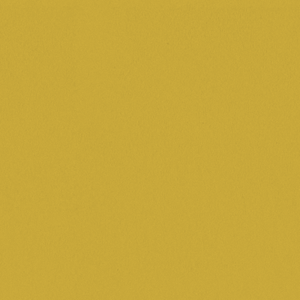 Sherwin Williams Wall Paint - Daisy