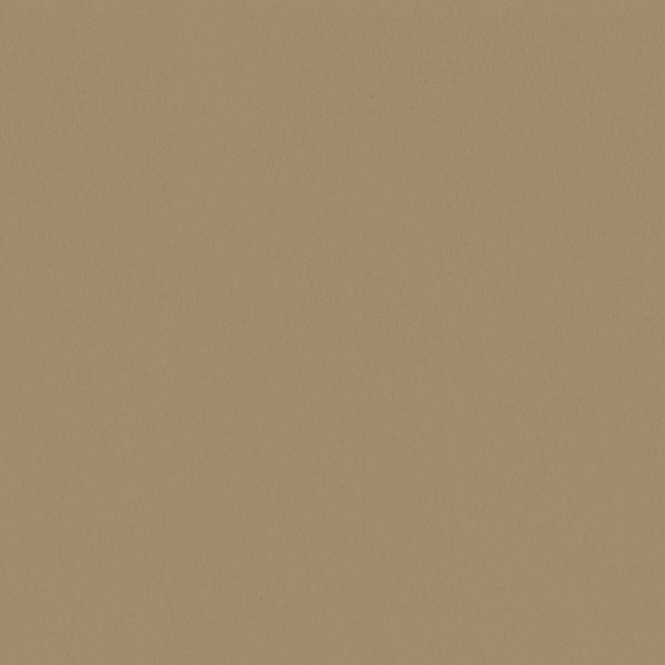 Sherwin Williams Wall Paint - Safari