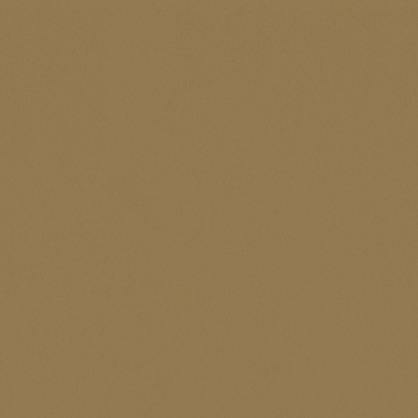 Sherwin Williams Wall Paint - Rustic City