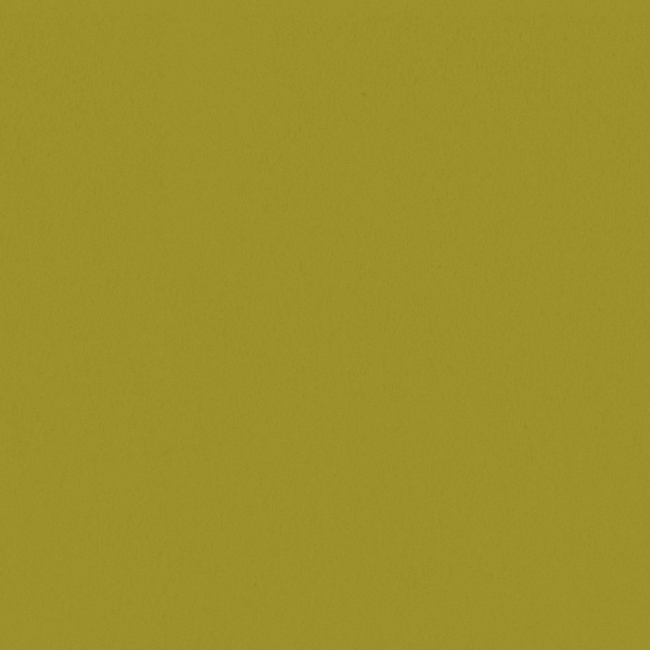 Sherwin Williams Wall Paint - Humorous Green