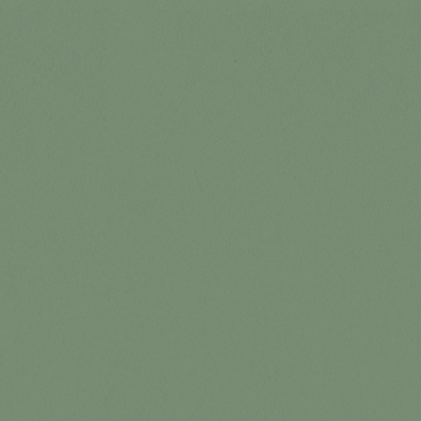 Sherwin Williams Wall Paint - Nurture Green