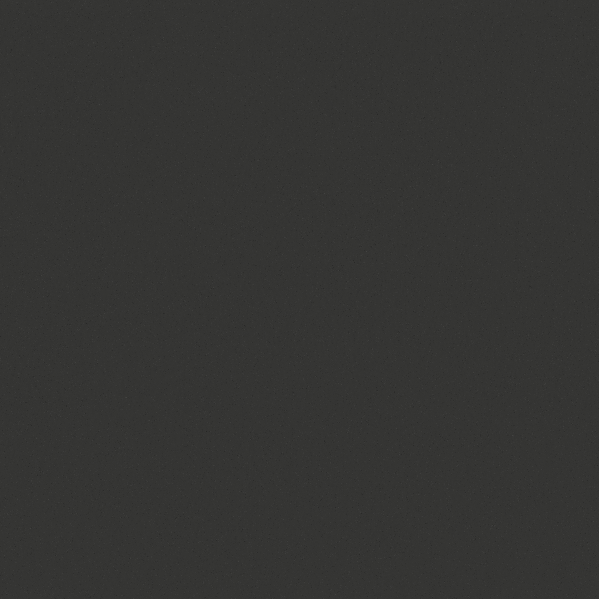 Sherwin Williams Wall Paint - Iron Ore