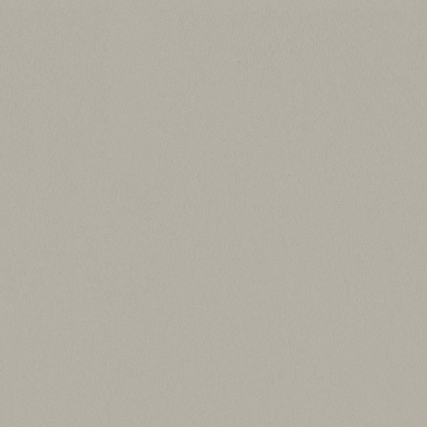 Sherwin Williams Wall Paint - Natural Choice