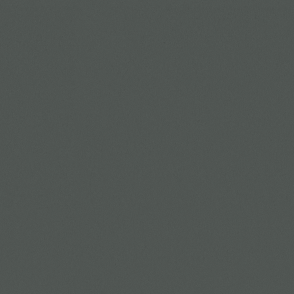 Sherwin Williams Wall Paint - Homburg Gray