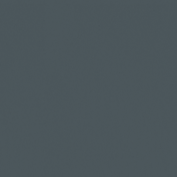 Sherwin Williams Wall Paint - Slate Tile