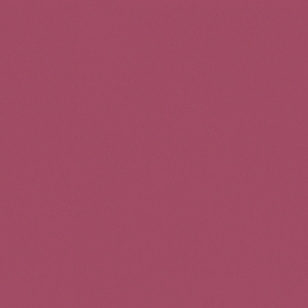 Sherwin Williams Wall Paint - Dragon Fruit