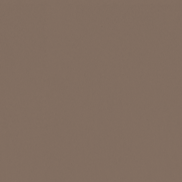 Sherwin Williams Wall Paint - Chocolate Powder
