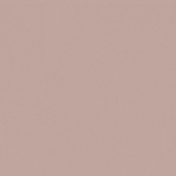 Sherwin Williams Wall Paint - Comical Coral