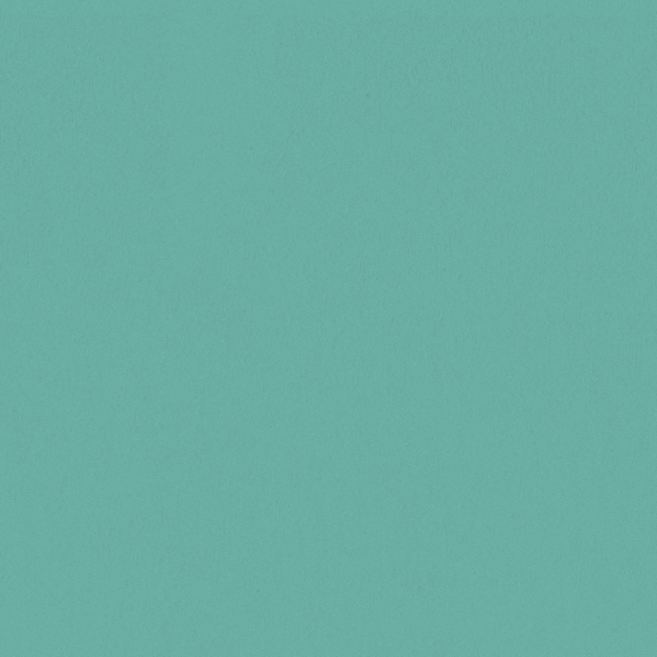 Sherwin Williams Wall Paint - Tantalizing Teal