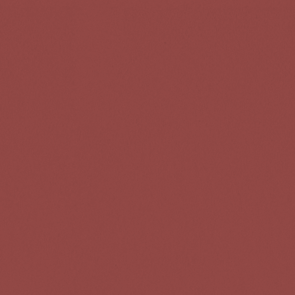 Sherwin Williams Wall Paint - Wild Poppy