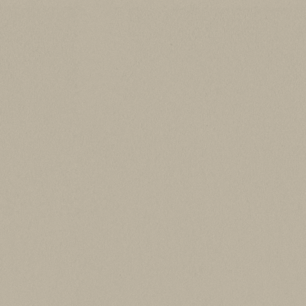 Sherwin Williams Wall Paint - Classical White